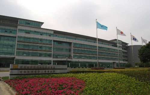 江苏仕德伟网络科技股份