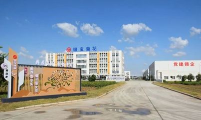 江苏银宝菊花科技公司:小菊花做成"大产业"